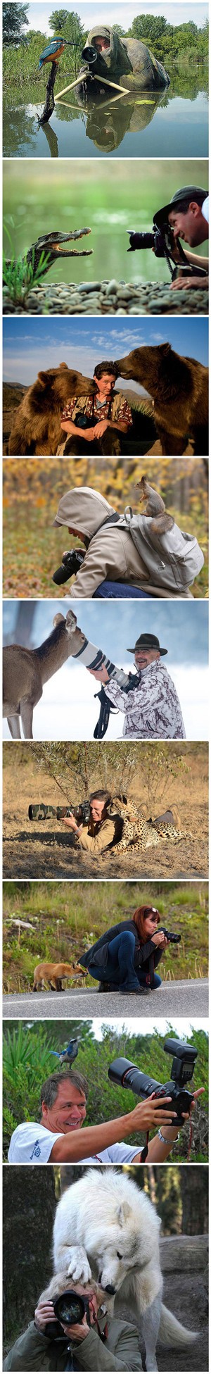 摄影师与动物们的亲密接触，太和谐了